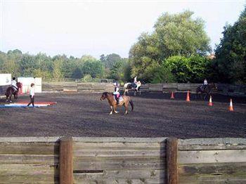 Willowbrook Riding Centre ชิชิสเตอร์ ภายนอก รูปภาพ